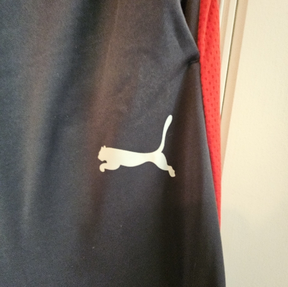 Used Medium Men's Gray & Red Puma Sweatpants - Picture 6 of 11